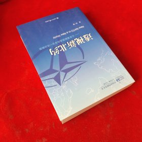 中国北约研究丛书·透视新北约：从军事联盟走向安全一政治联盟