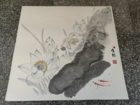 荷花国画