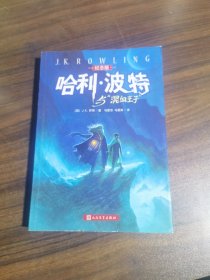 哈利·波特与“混血王子”