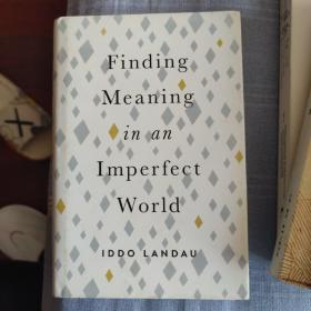 FINDING MEANING IN AN IMPERFECT WORLD