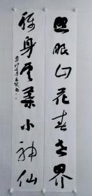 陈志超书法对联一幅，尺寸：181*32*2，陈志超，1966年3月生于四川温江，成都澄园书画艺术博物馆馆长，四川省政协书画研究院副秘书长兼山水画专委会副主任 ，华东师范大学书法心理研究中心副主任，中国书法家协会会员，四川省书法家协会理事，四川省诗书画院特约美术师，鱼凫诗社社长，四川省政协特邀委员，