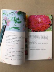 百花治百病：抗病毒花卉500方