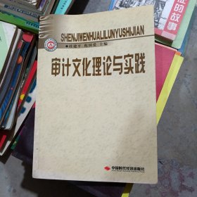 审计文化理论与实践 桂建平 倪国爱 主编 中国时代经济出版社出版