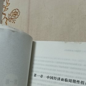 中国经济.2024：周期拐点与结构演化（探索产业结构升级新动力和经济增长引擎新锚点，发现中国经济渡过经济周期性拐点的“强心剂”）