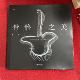 骨骼之美 逝去之物见生命之华，“自然”中现“大美”。艺术与科学的结合，侘寂美学与演化之道的碰撞
