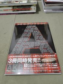 AKB48 VISUAL BOOK 2010 featuring team B（一册）