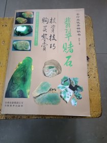 翡翠赌石技巧与鉴赏