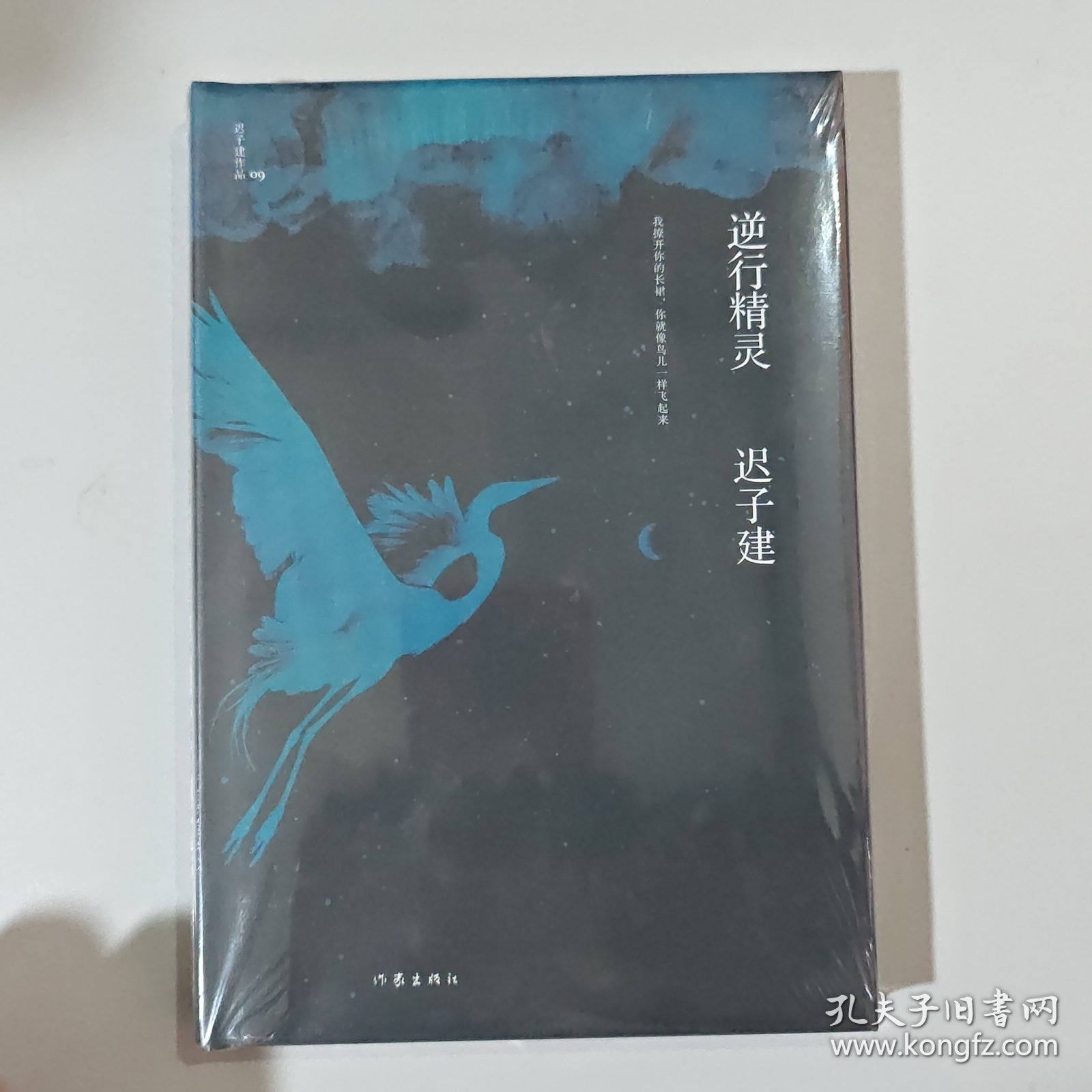 逆行精灵（茅盾文学奖、鲁迅文学奖得主迟子建小说代表作）pd