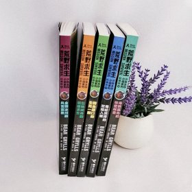 正版 荒野求生少年生存小说系列（拓展版）（16-20册） [英]贝尔·格里尔斯 接力