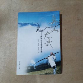 真文大武:燕子杰先生与梅花拳    71-234