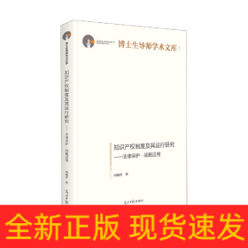 知识产权制度及其运行研究：法律保护·战略运用