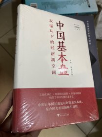 中国基本盘（吴晓波总顾问倾力推荐！读懂基本盘，把握中国新发展的大逻辑）