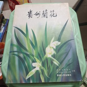 贵州兰花