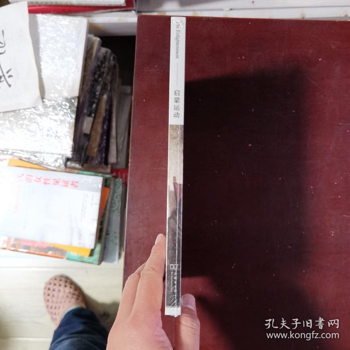 启蒙运动：历史，文献和关键问题