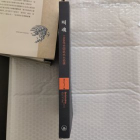 叫魂：1768年中国妖术大恐慌