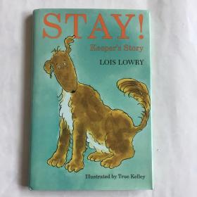 Stay!   英文原版 童书  精装