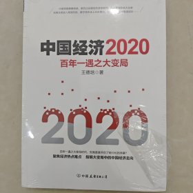 中国经济2020