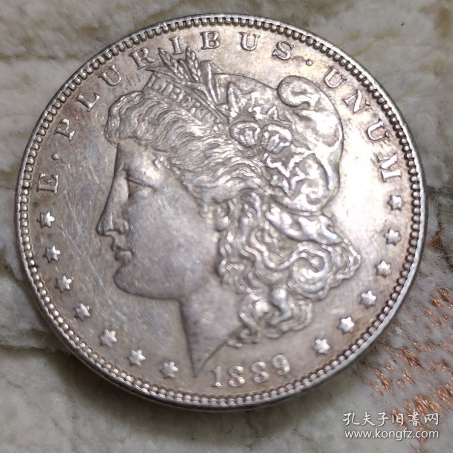美国硬币。1889年一美元。画面:秃鹰脚下的树枝代表和平，箭代表武装力量。