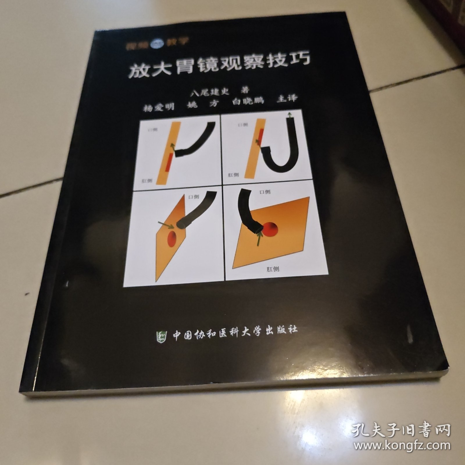 放大胃镜观察技巧（附光盘）