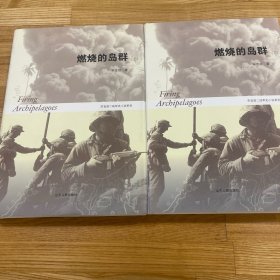 燃烧的岛群(上下)：宋宜昌二战军史小说系列