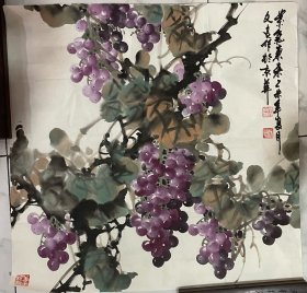 葡萄常-常文良代表作精品葡萄