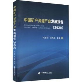 中国矿产资源产业发展报告(2020)