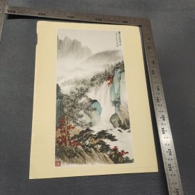 1962年《中国画》齐白石吴作人等名家绘画活页老画片15张