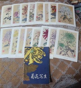 画片装饰画12张全