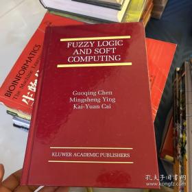 FUZZY LOGIC AND SOFT COMPUTING 如图所示