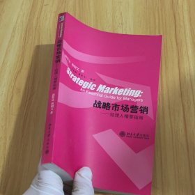战略市场营销：经理人精要指南