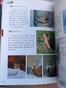 图览新疆野生植物 图览新疆野生动物（两本合售）