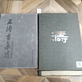 王涛画集（精装带含套）