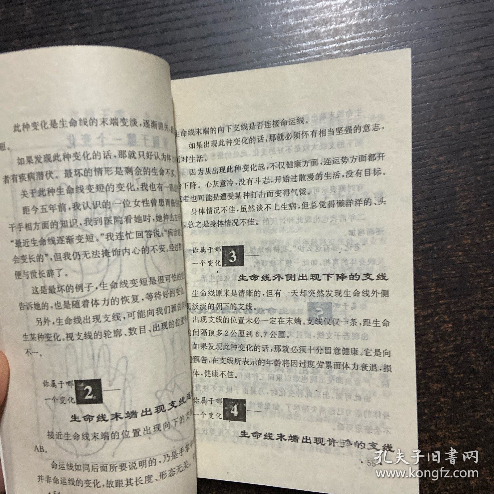 点击查看原图 你的属相 猪