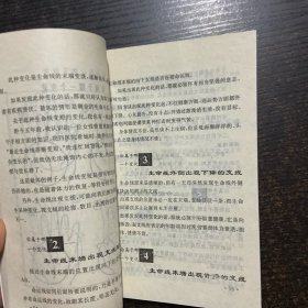 你的属相 猪