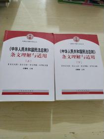 中华人民共和国民法总则 条文理解与适用（套装上下册）