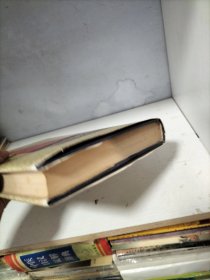 中药药名辞典