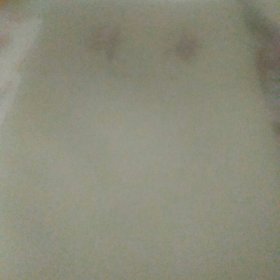 辞海 百科增补本
