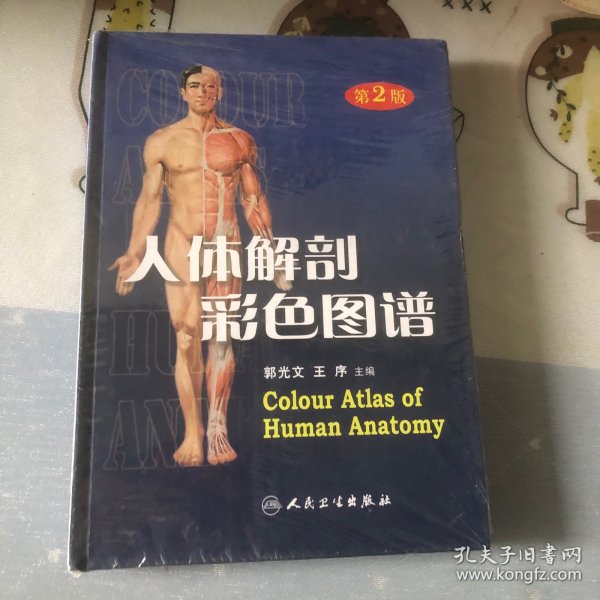 人体解剖彩色图谱