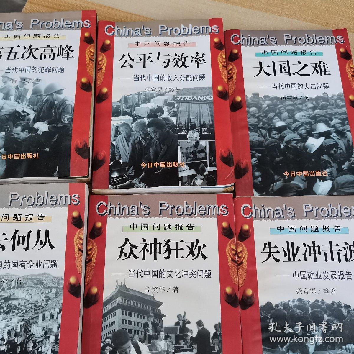 何去何从 失业冲突  众神狂暴  公平与效率  大国之难  第5次高峰：当代中国的国有企业问题  （6本合售）