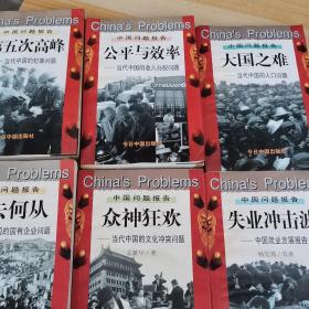 何去何从 失业冲突  众神狂暴  公平与效率  大国之难  第5次高峰：当代中国的国有企业问题  （6本合售）