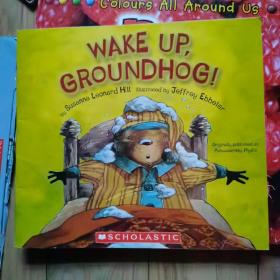 WAKE UP GROUNDHOG