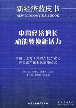 中国经济增长动能转换新活力：中国（上海）知识产权产业化综合改革试验区战略研究