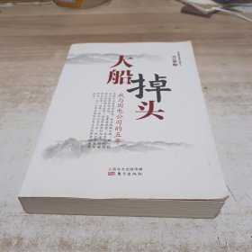 大船掉头 : 我与国电公司的五年