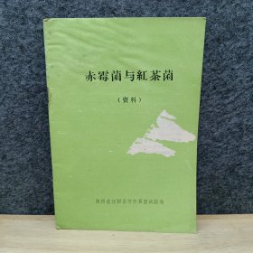 赤霉菌与红茶菌（资料
