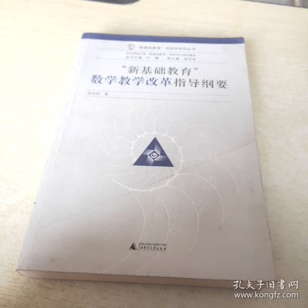 “新基础教育”成型性研究丛书：新基础教育数学教学改革指导纲要