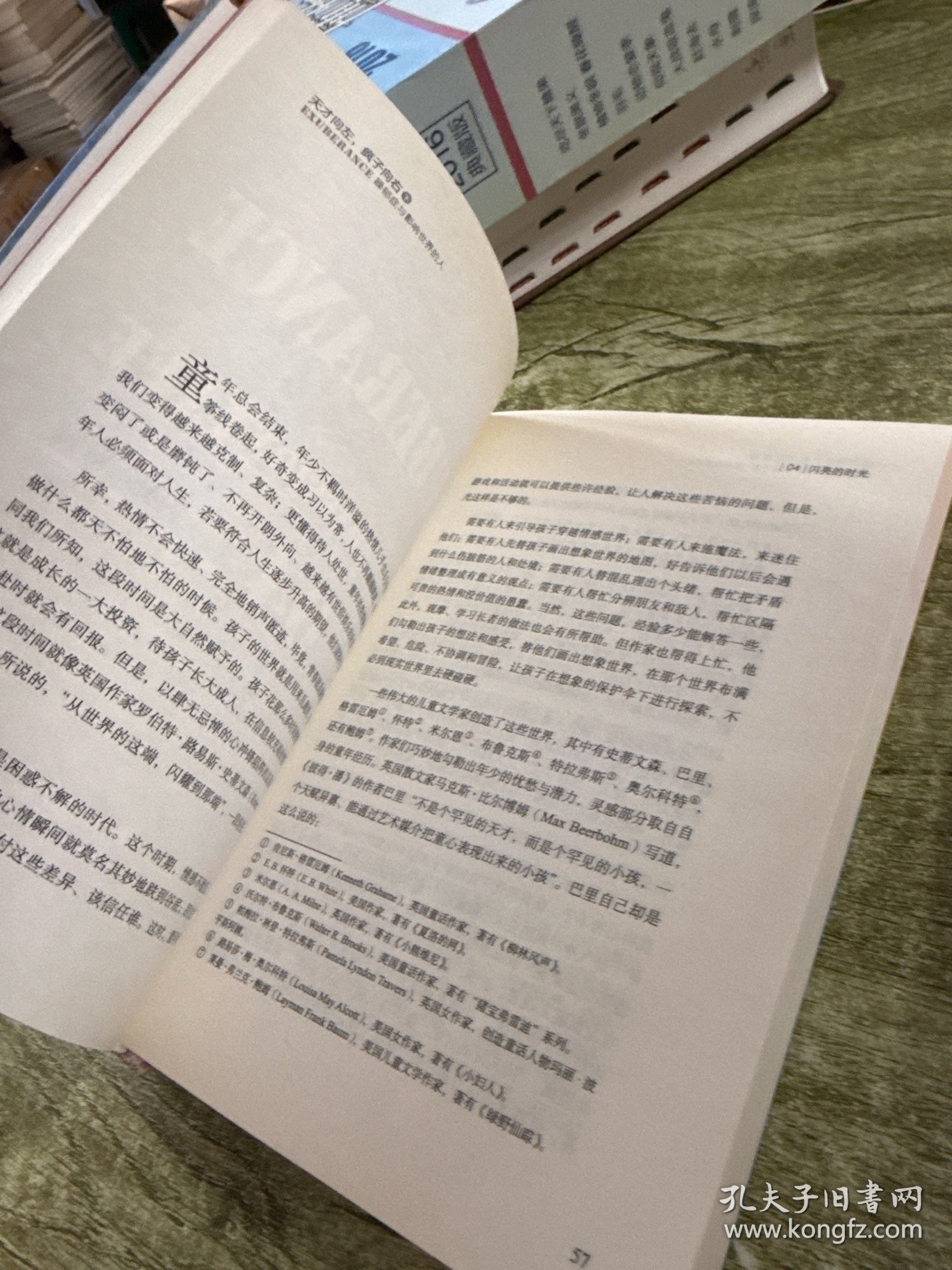 天才向左,疯子向右：躁郁症与伟大的艺术巨匠（上下）