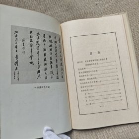 远望集