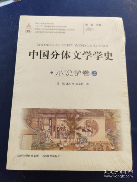 中国分体文学学史. 小说学卷