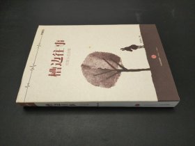 槽邊往事：和菜頭自選集