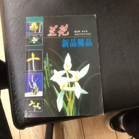 兰花新品稀品